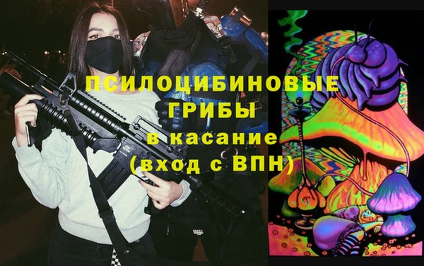 тгк Арсеньев
