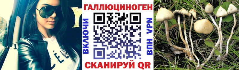 Галлюциногенные грибы Magic Shrooms  Поронайск 